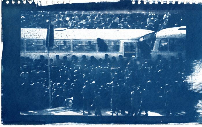 "Study No. 13," Cyanotype, 18.5 x 29.6 cm, 2023